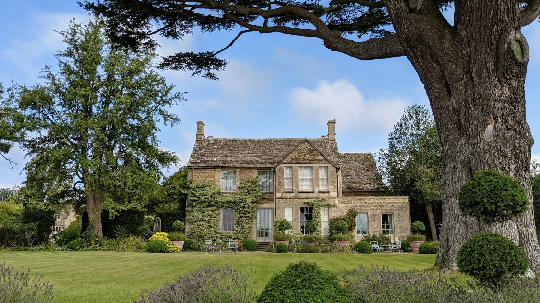 Cotswolds home with a large tree in front